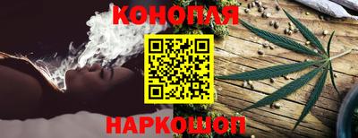 крисы Тулун