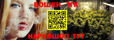 крисы Тулун