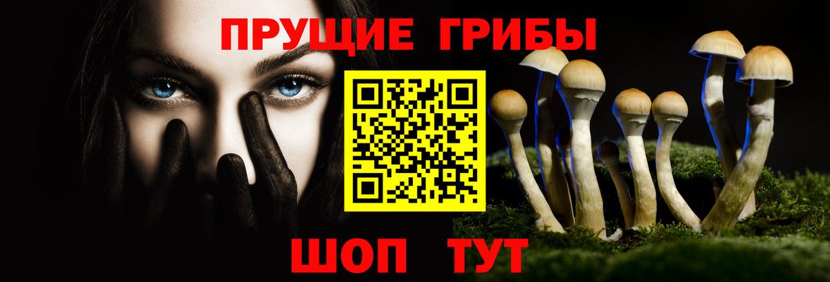 Амурск  Галлюциногенные грибы Psilocybe  Вход с VPN 